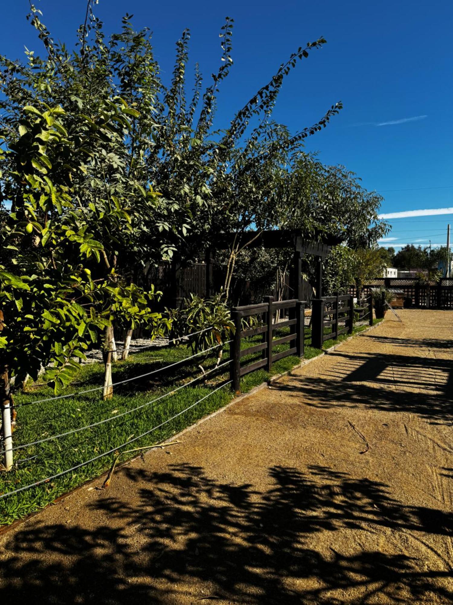 Estancita Elena Hotel Valle de Guadalupe Kültér fotó